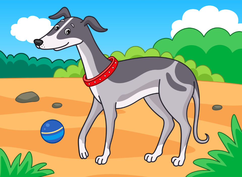 Greyhound