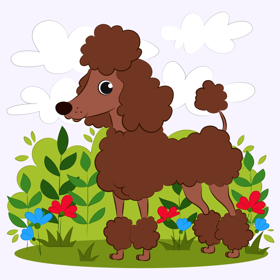 Poodle