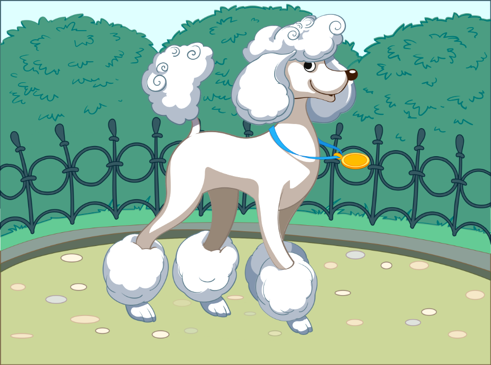 Poodle