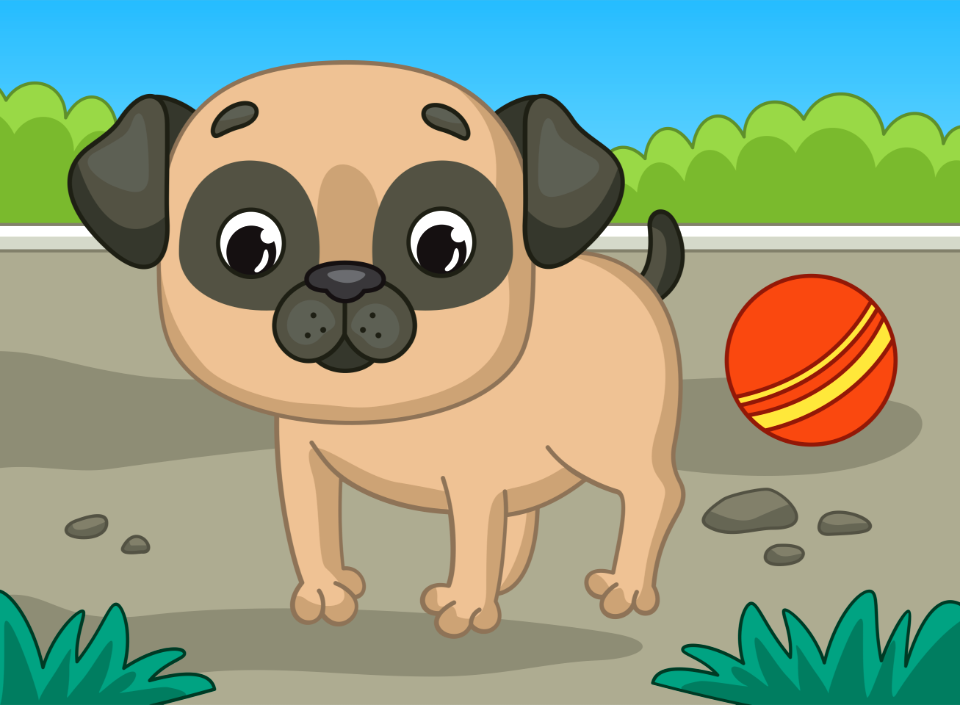 Pug