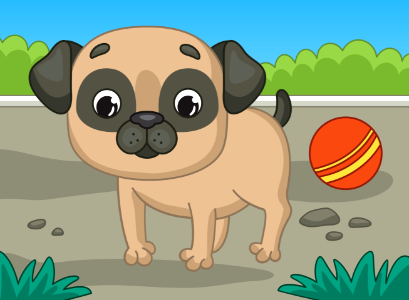 Pug