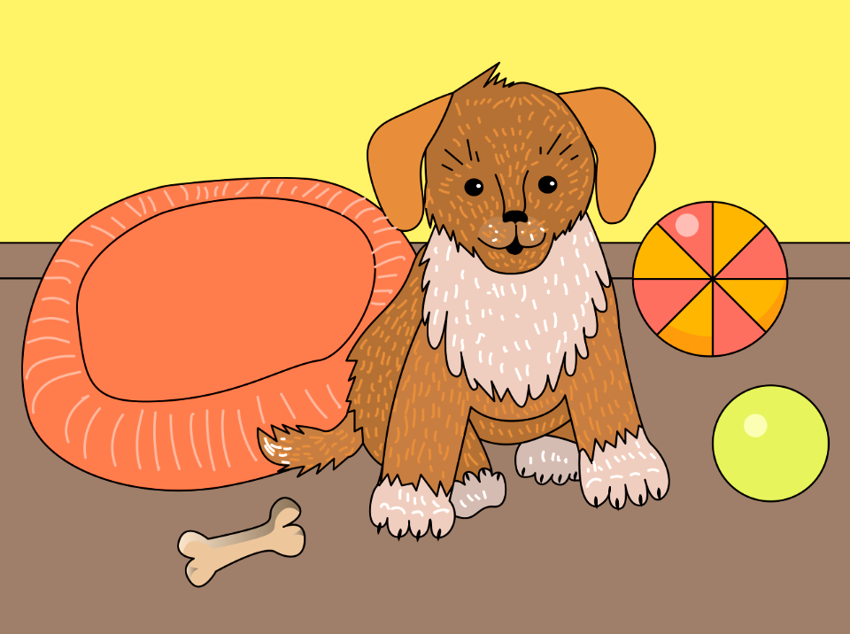 Puppy