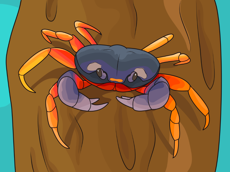 Halloween crab