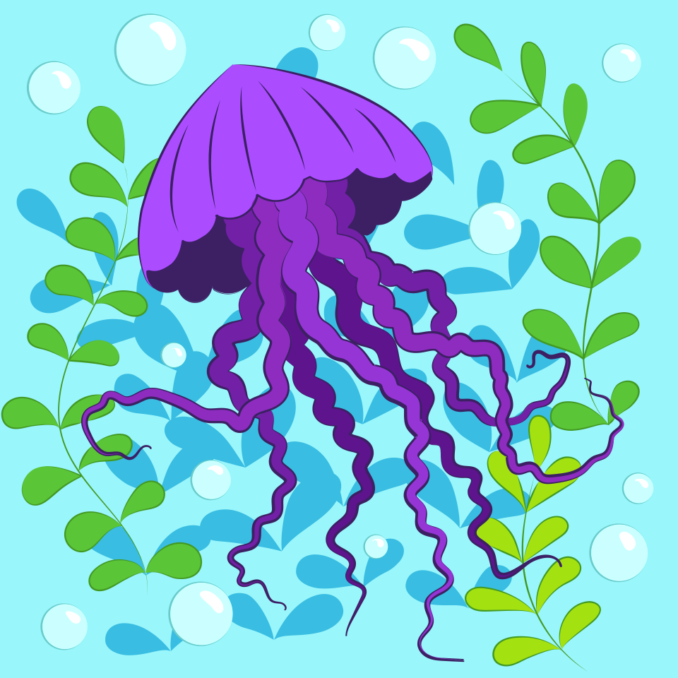 Jellyfish