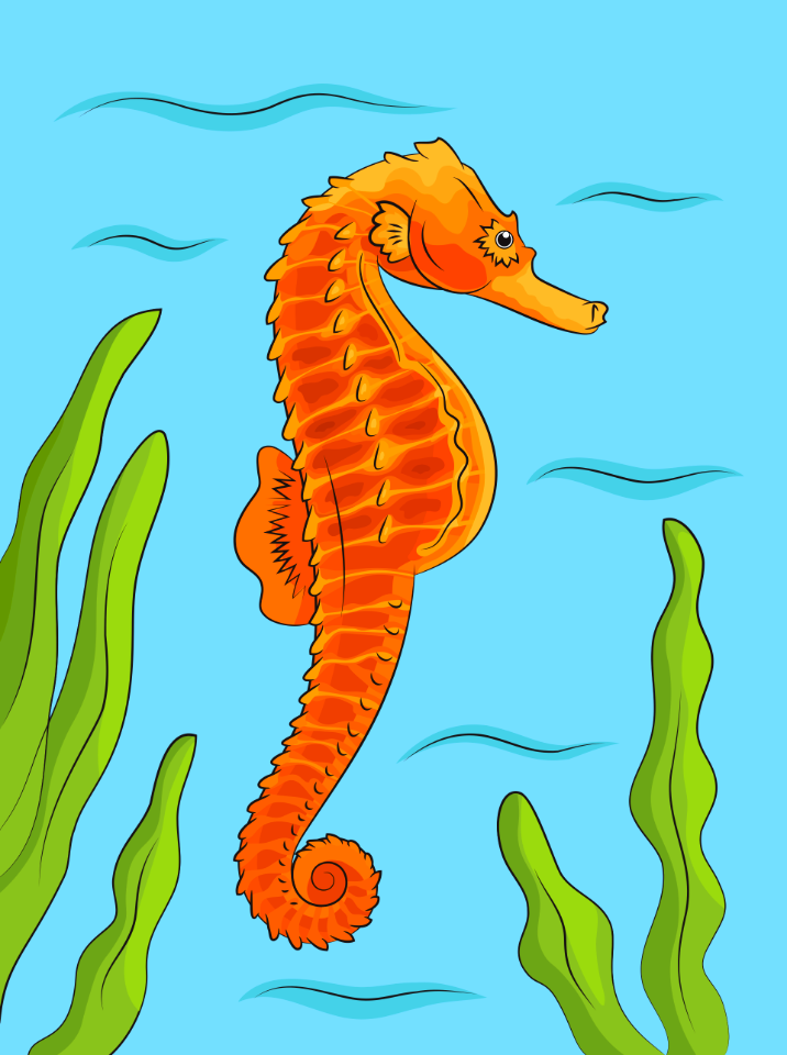 Seahorse