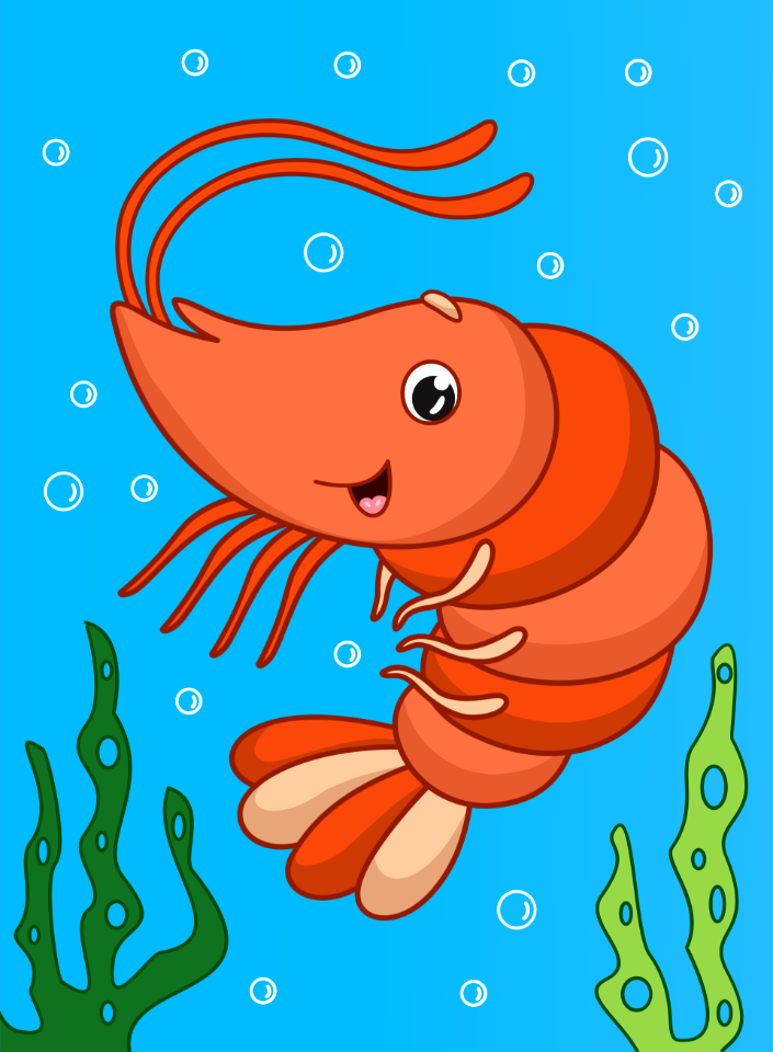 Shrimp