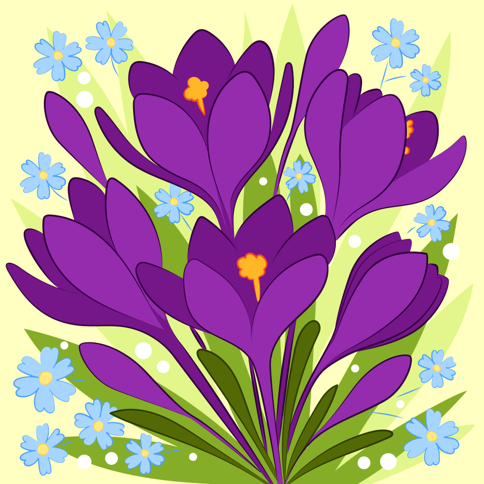 Spring flower