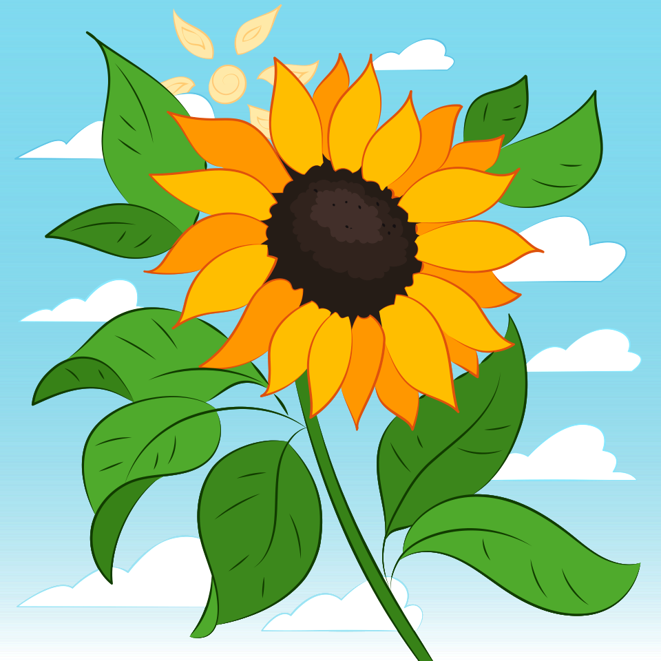 Sunflower