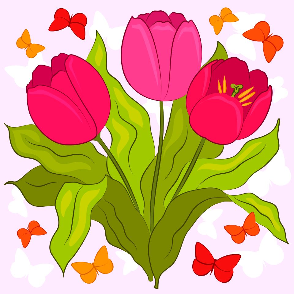 Tulip