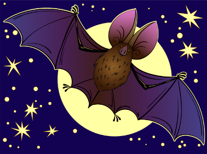 Bat