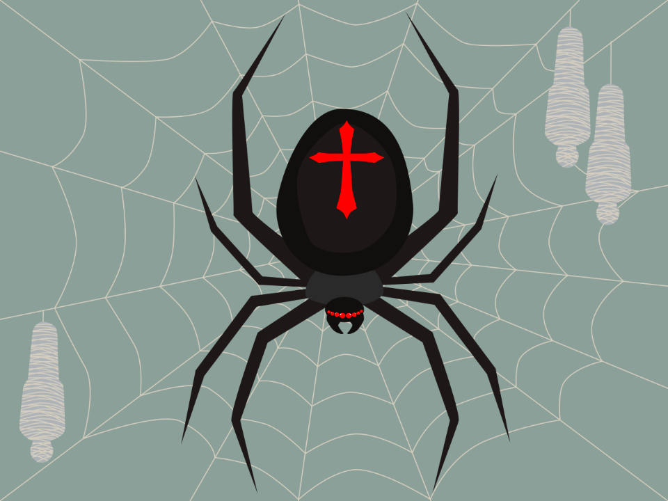 Spider