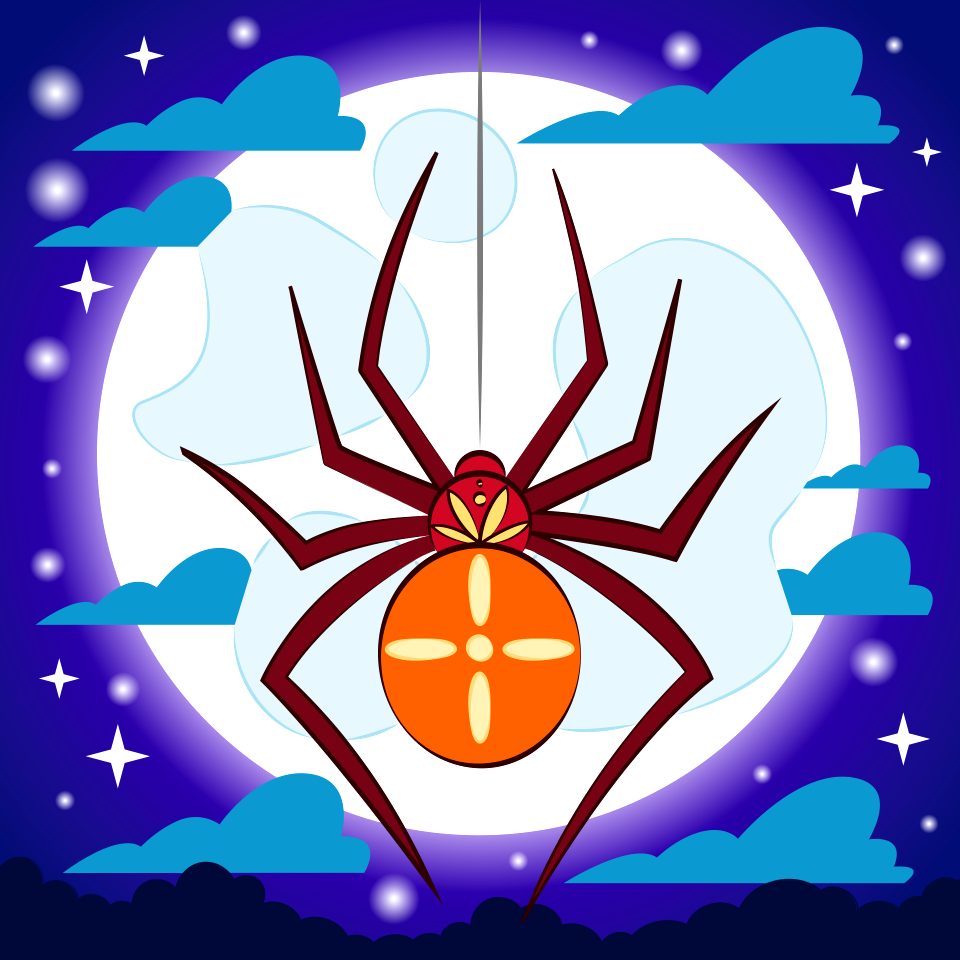 Spider
