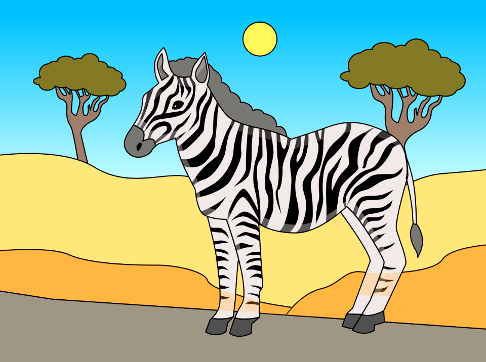 Zebra