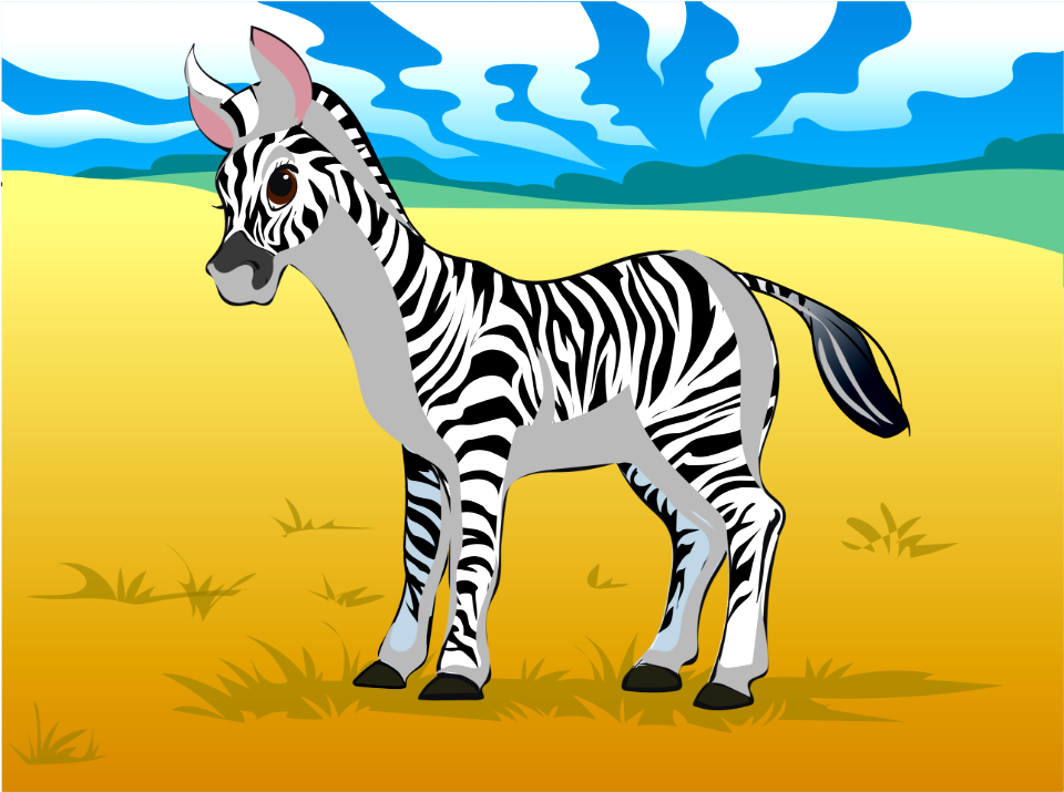 Zebra