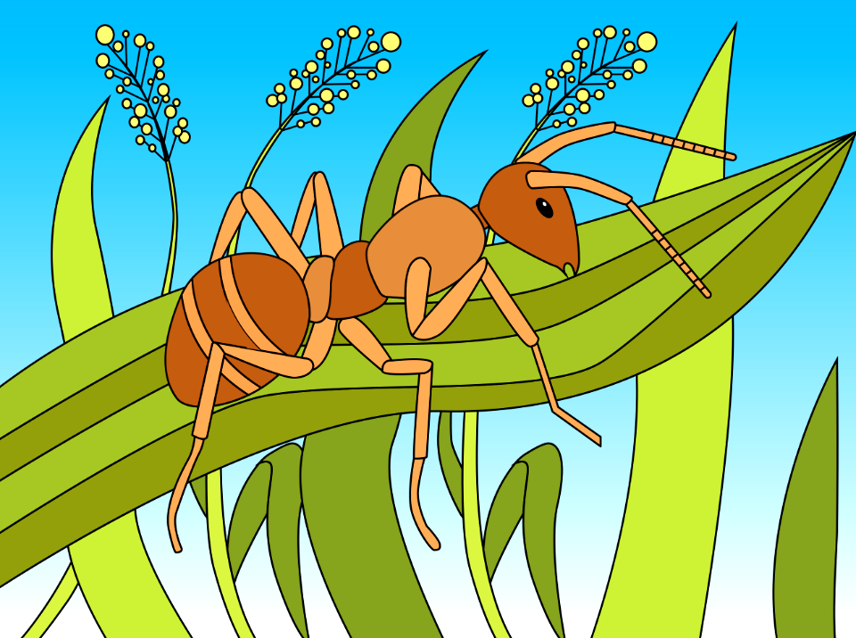 Ant - Free digitally-made illustrations on creazilla.com