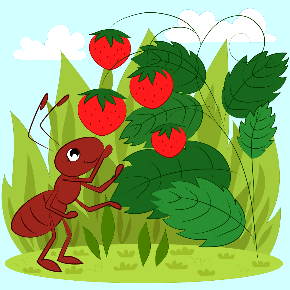 Ant