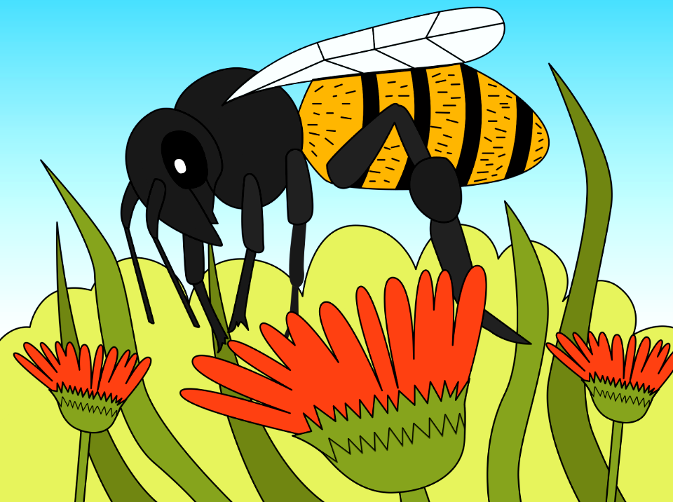 Bee