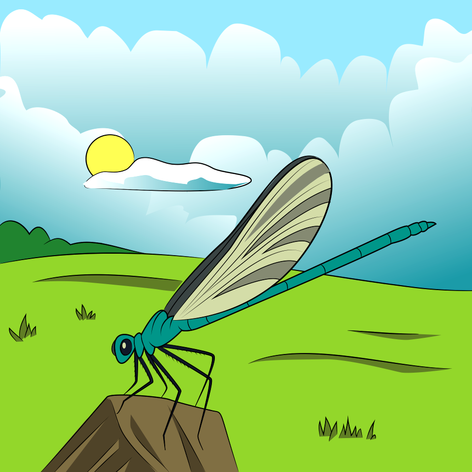 Blue Damselfly