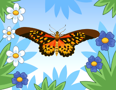 Butterfly