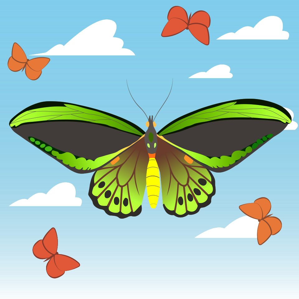 Butterfly