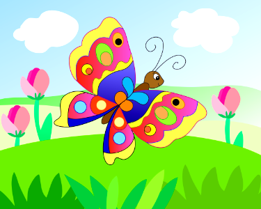 Butterfly