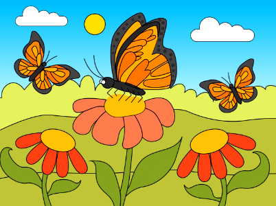 Butterfly