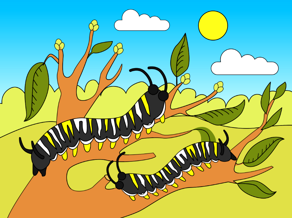 Caterpillar