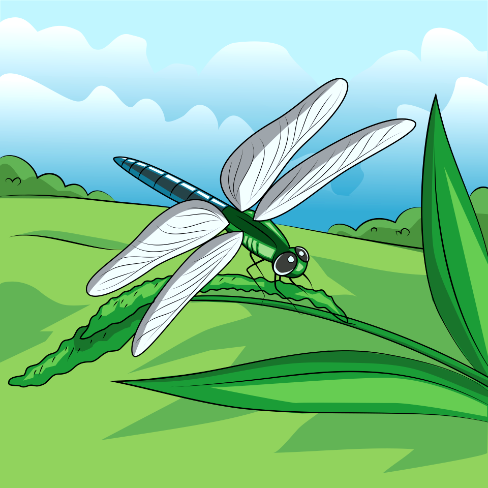 Dragonfly