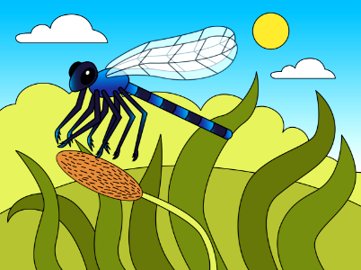 Dragonfly