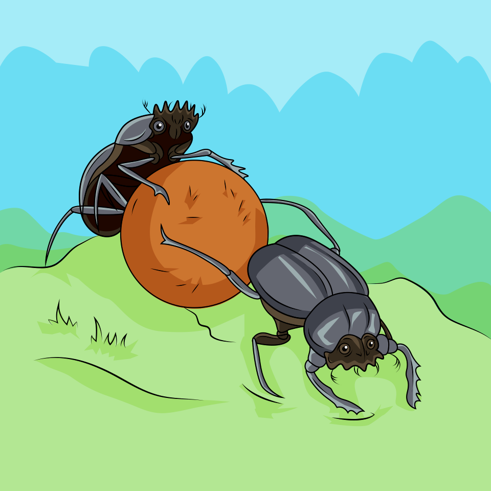 Dung Beetles