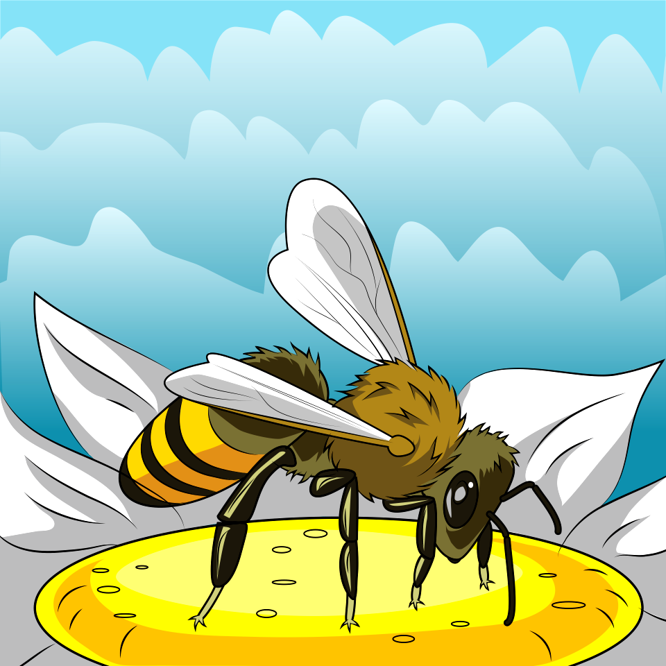 European Honeybee