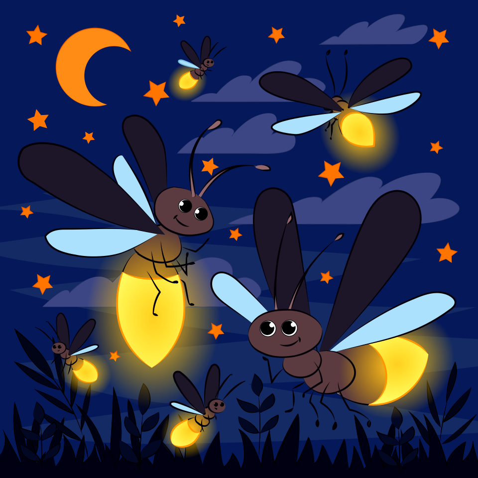 Firefly