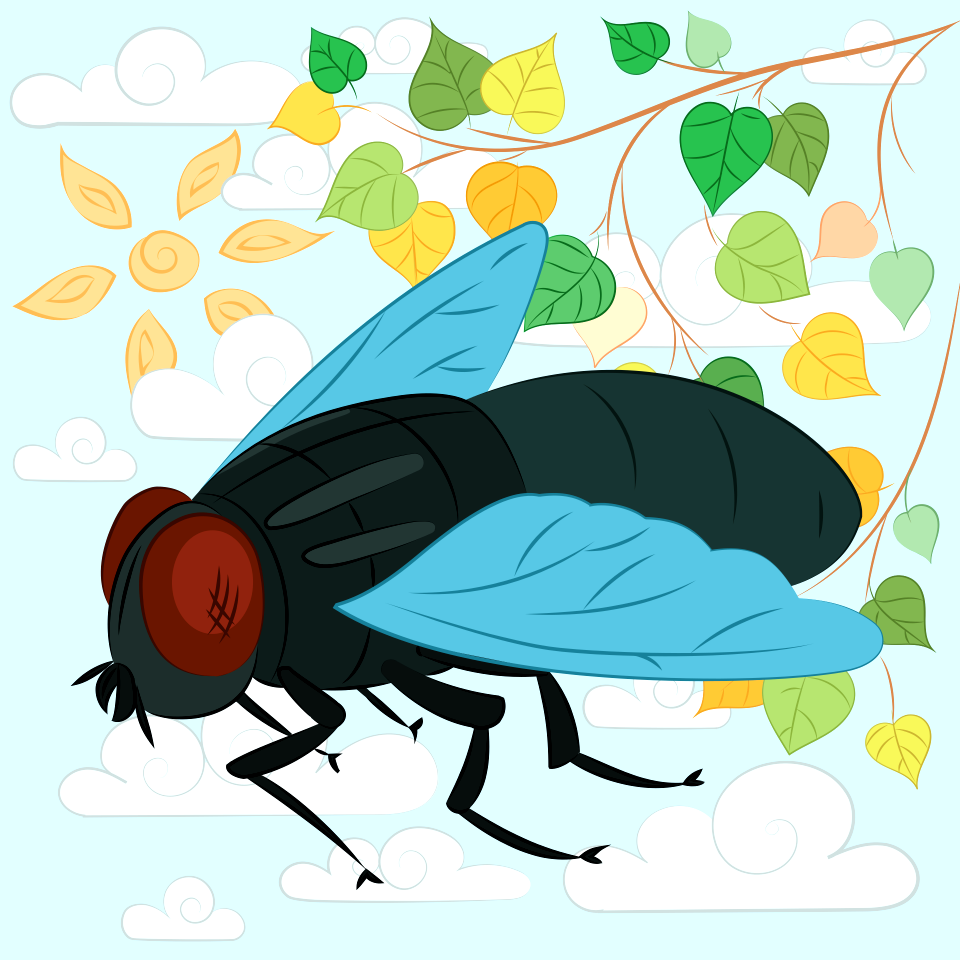 Fly