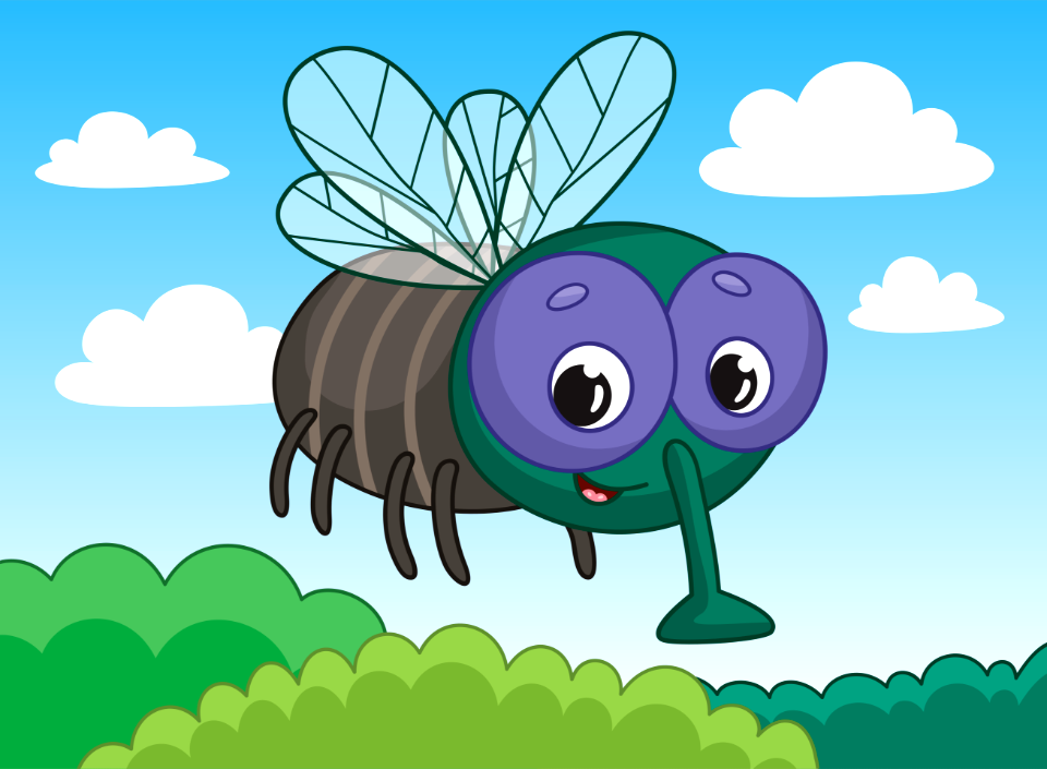 Fly