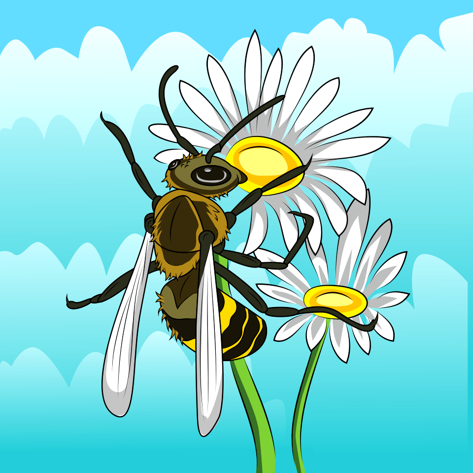 Hornet on the Michaelmas Daisy Flower