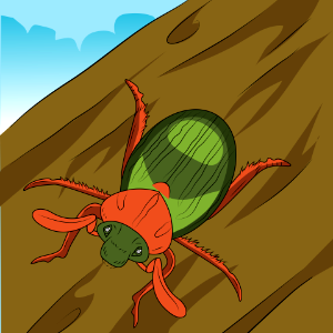 Junebug