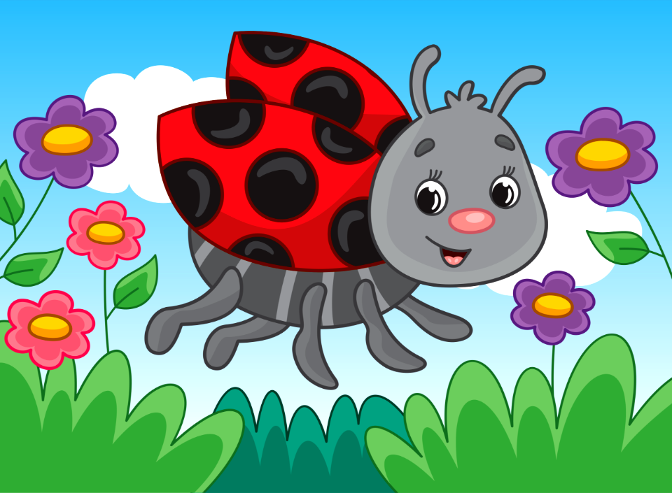 Ladybug
