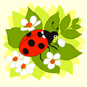 Ladybug