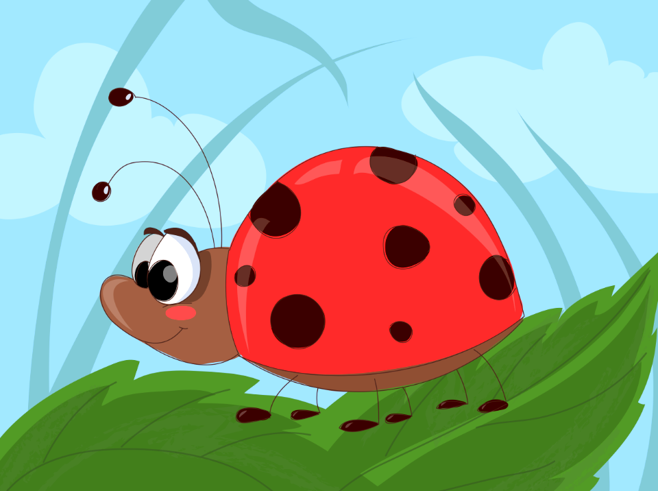 Ladybug
