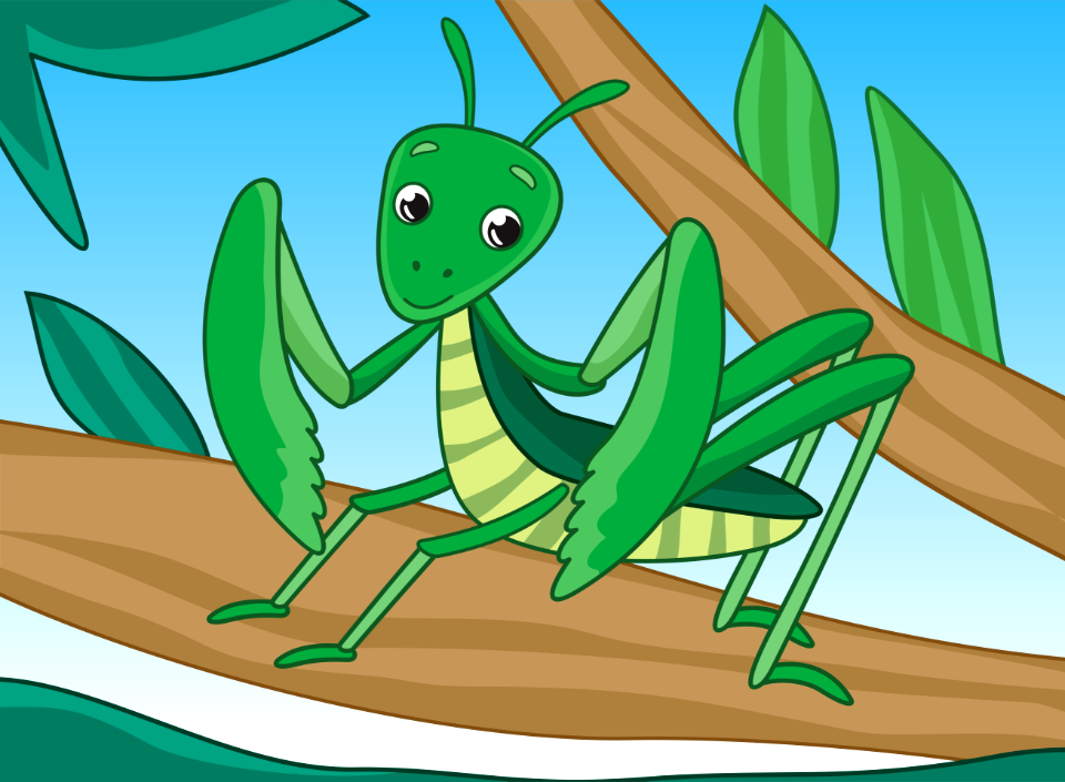 Mantis