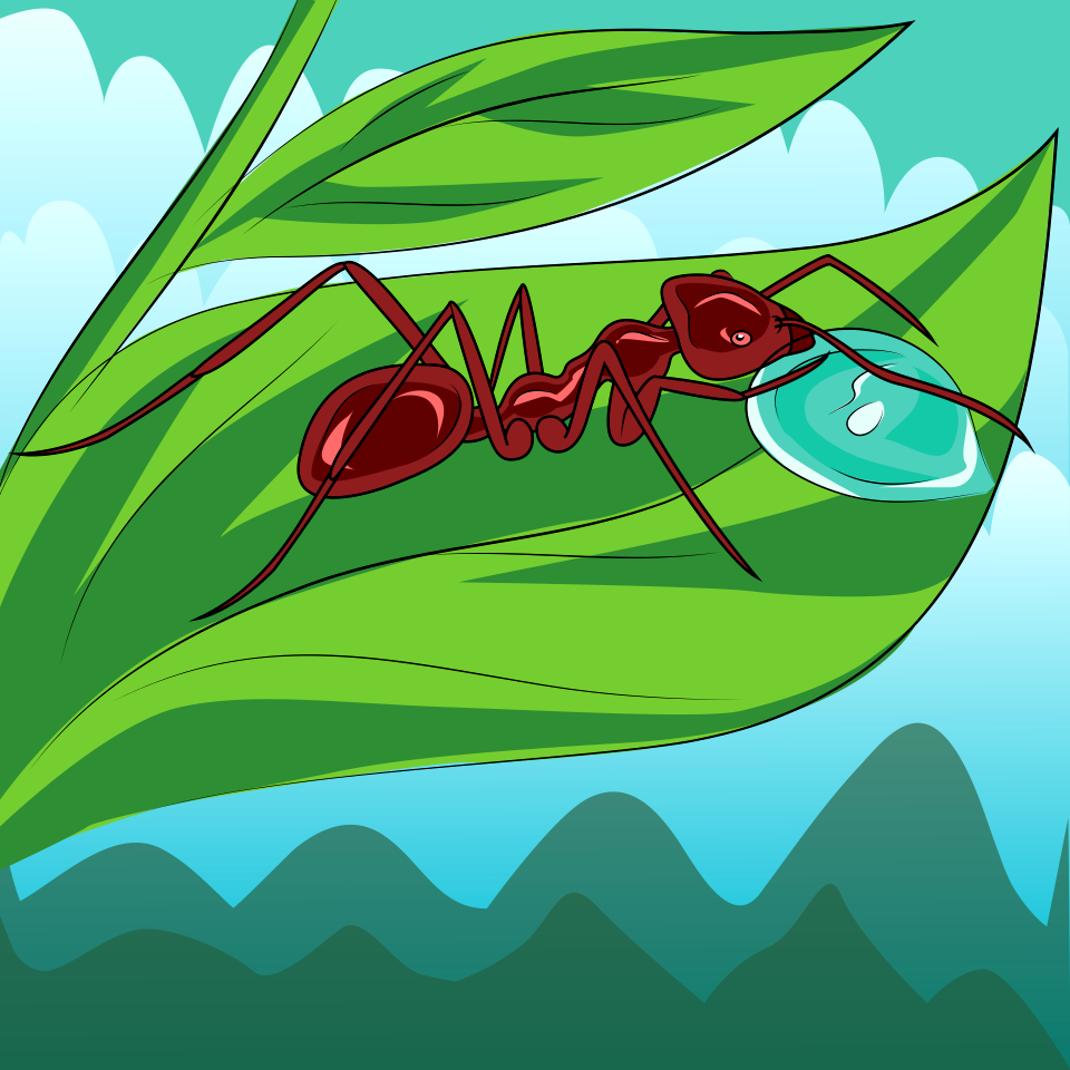 Meat Ant