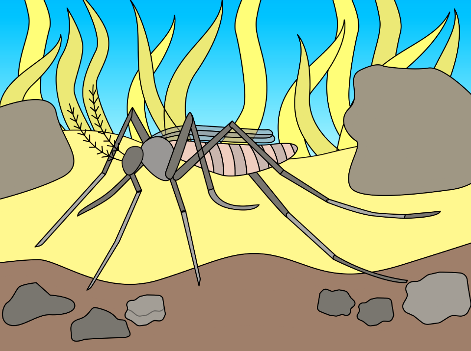 Mosquito mask