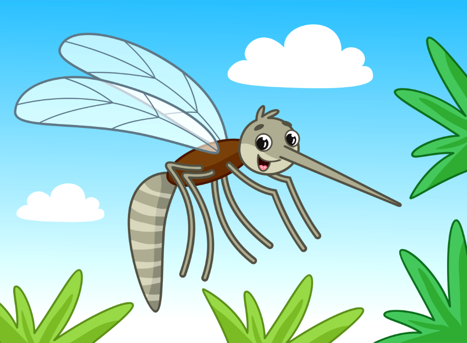 Mosquito