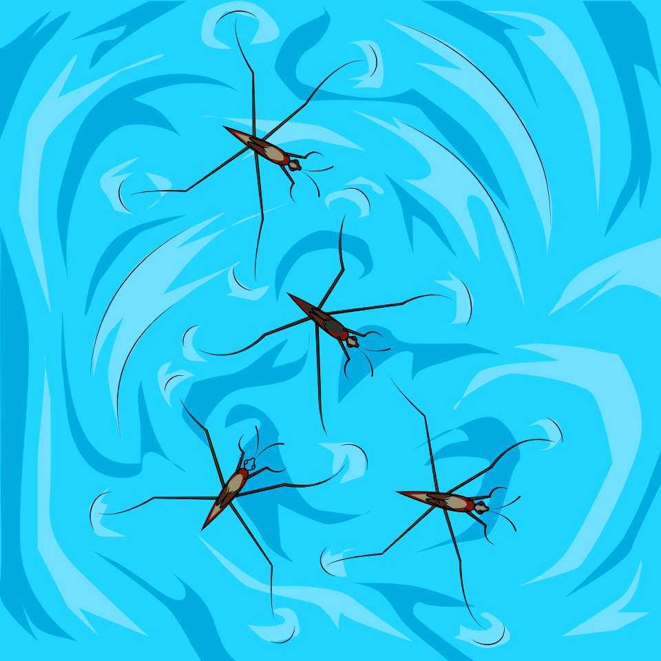Pond Skaters