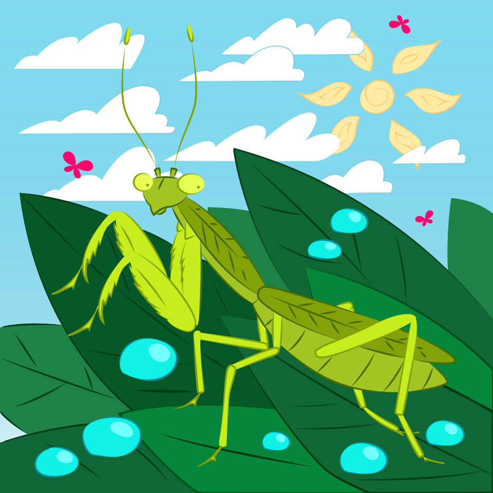 Praying mantis