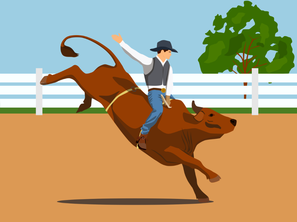 Rodeo