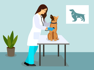 Veterinary