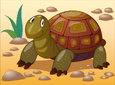 Turtle