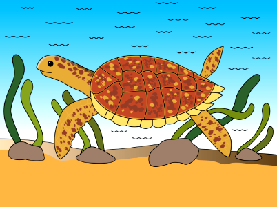 Turtle