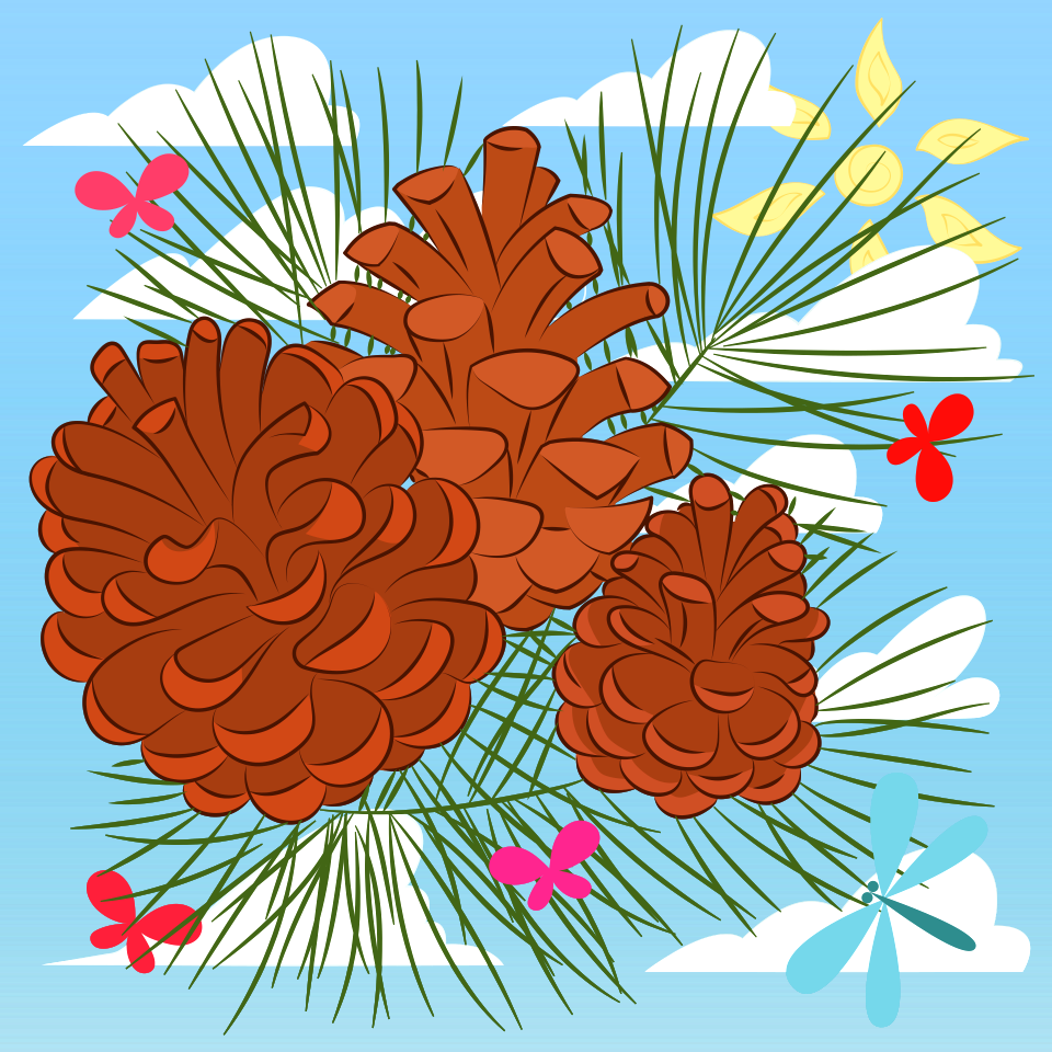 Pine cone